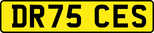 DR75CES