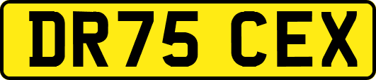 DR75CEX