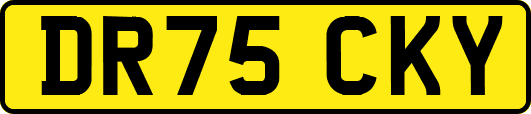 DR75CKY