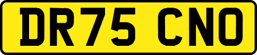 DR75CNO