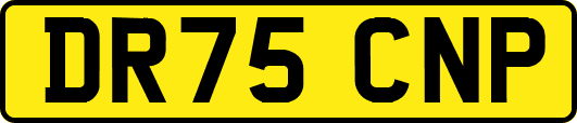 DR75CNP