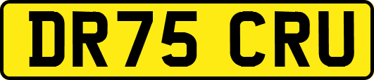 DR75CRU