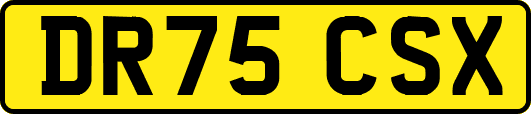 DR75CSX