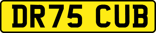DR75CUB