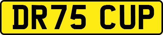 DR75CUP