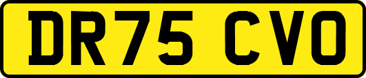 DR75CVO