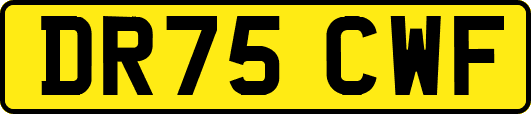 DR75CWF