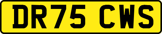 DR75CWS