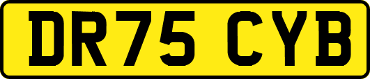 DR75CYB