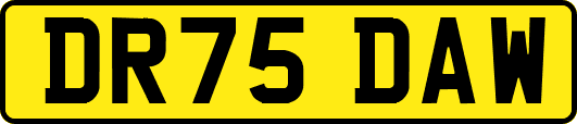 DR75DAW