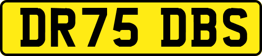 DR75DBS