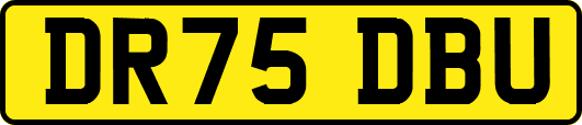 DR75DBU