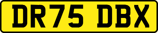 DR75DBX