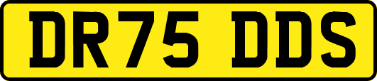 DR75DDS