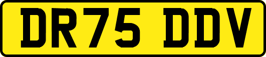 DR75DDV