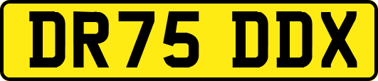 DR75DDX