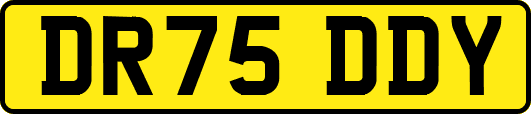 DR75DDY