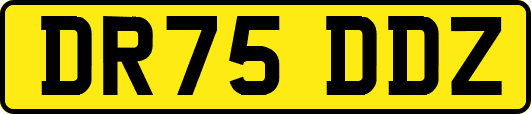 DR75DDZ