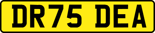 DR75DEA