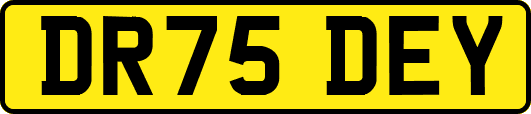 DR75DEY