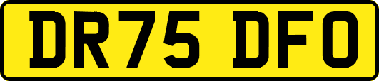 DR75DFO