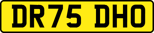 DR75DHO