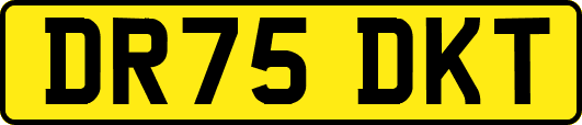 DR75DKT