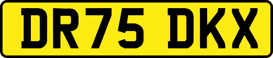 DR75DKX