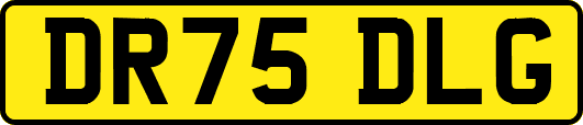 DR75DLG