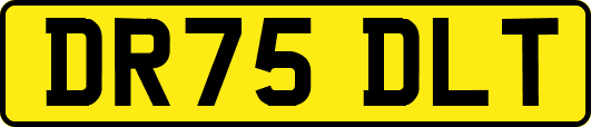 DR75DLT