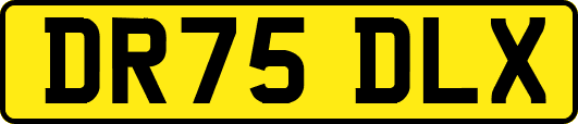 DR75DLX