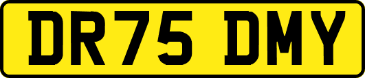 DR75DMY