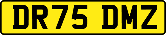 DR75DMZ