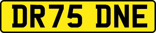DR75DNE