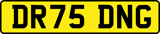 DR75DNG