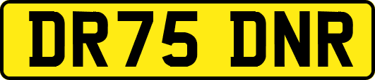 DR75DNR