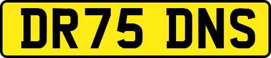 DR75DNS