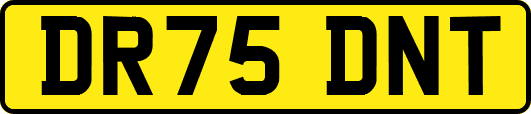 DR75DNT