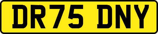 DR75DNY