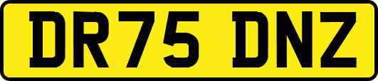DR75DNZ