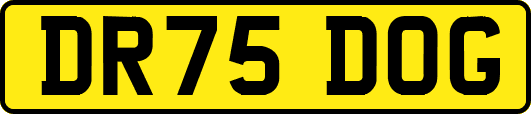DR75DOG