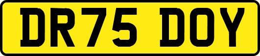 DR75DOY