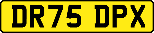 DR75DPX
