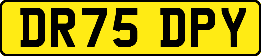 DR75DPY