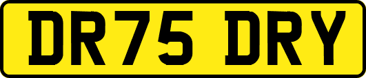DR75DRY