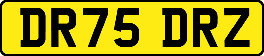 DR75DRZ