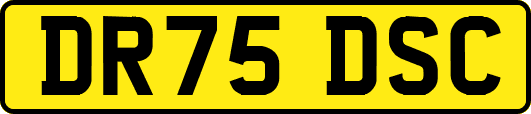 DR75DSC