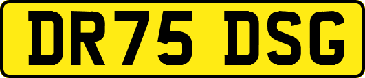 DR75DSG
