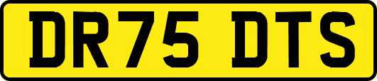 DR75DTS