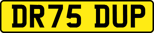 DR75DUP